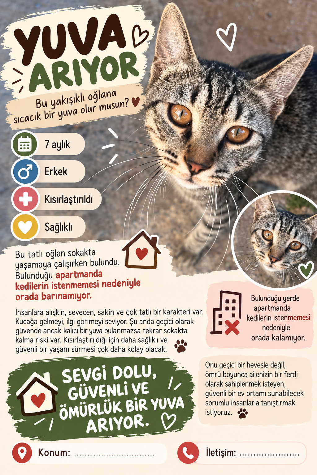 YUVA ARAYAN YAKIŞIKLI OĞLAN 🐾