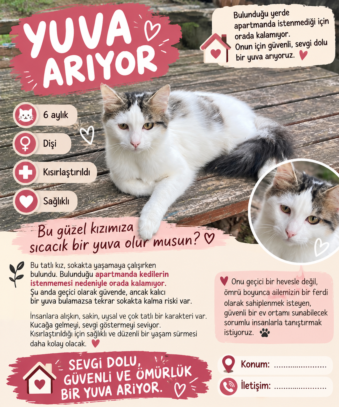 Pamuk kız🤍